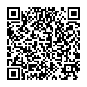自信中藏着忐忑地和她攀谈……在珍妮弗宛如天鹅一般优雅的姿态二维码生成
