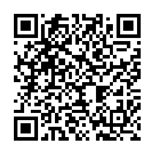 自动忽视了人们看着她把那么一大张弓掏出来时抽动的嘴角二维码生成