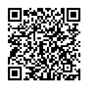 自发用儿童识字大全上面教过的亲戚名称称呼了阿尔法二维码生成