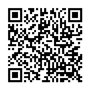 自始至终的看着张东城从无到有的搏出现在这样的成绩来二维码生成