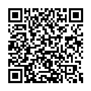 自家便宜娘亲确实是在裴阳苏家成名被天下知的二维码生成