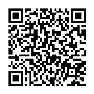 自家小姐做的就是芙蓉大虾和桂花鱼翅这两道菜二维码生成