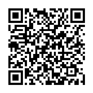 自家帝君就先手在天庭提案接驳古战场形成暗面小天罗地网二维码生成