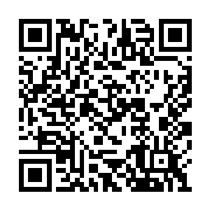 自家的老太爷又怎么可能会这么残忍的对待自己二维码生成