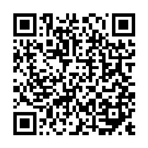 自己一下子忍受不住就把手放在它的脑袋上摸了一下而已二维码生成