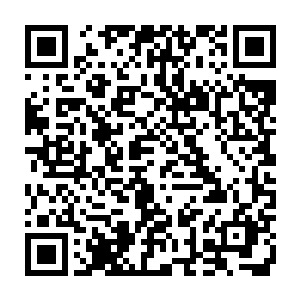 自己一个圣级九层后期巅峰竟然被一个圣级九层初期巅峰追了将近两天二维码生成