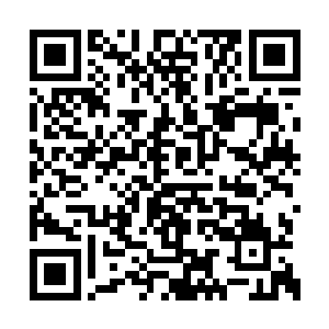 自己一番她像自己小师妹的说辞终究不能打动她二维码生成