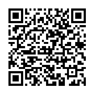 自己一直捧在手心里的小公主也不会如此对待自己二维码生成