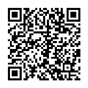 自己上辈子对热兵器的热爱究竟是到了一个什么样的地步二维码生成