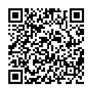 自己不仅仅是被令狐鸿飞的威压吞噬了这么简单二维码生成