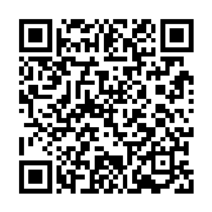 自己不在京的日子柳母定然受了不少贵妇的白眼二维码生成