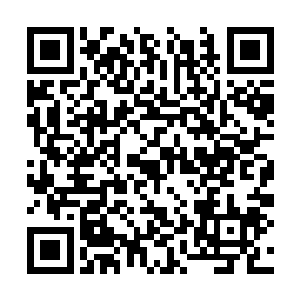 自己不是千叮咛万嘱咐让他不要随便去惹过江龙么二维码生成