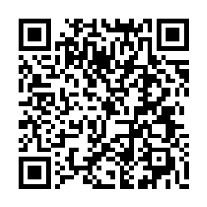 自己与何七前辈主要着眼点在店铺与王大娘身上二维码生成