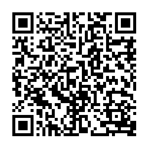 自己与天魔圣教大长老程明拿走了雨上人栽种在自己潜修之地的先天五行花二维码生成