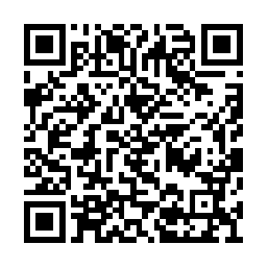 自己为何自然而然就能掌握到红极星的思维脉络二维码生成