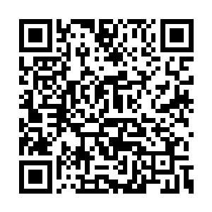 自己主动进入血海和被血浪拍中结果是不一样的二维码生成