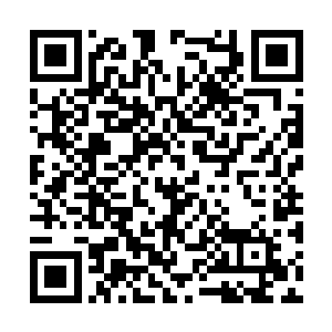 自己主演的电影虽然基本上做到了每一部都不赔钱二维码生成