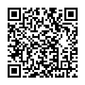 自己之前的时候实在是有些太小看大帝境界的存在了二维码生成