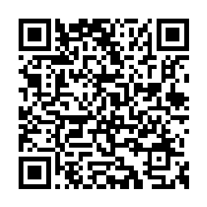 自己之前的电话里又没有把受伤的事情和她们说二维码生成