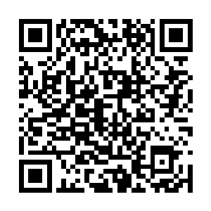自己之所以会一直都留在天一峰就是为了这些药材二维码生成