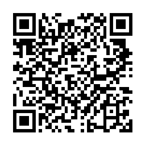 自己也可以看情况弄上一两条进空间里当活动美金存着二维码生成
