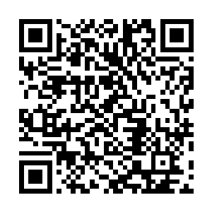 自己也就只能是从两个外甥的身上面找点些许的存在感了二维码生成
