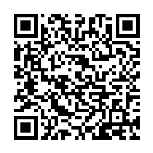 自己也是闹不懂为什么李家的首席安保会出现在这里二维码生成