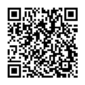 自己也知道所谓的圣骨门核心弟子虽然名声不好二维码生成