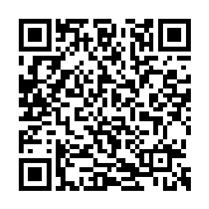 自己二哥估计看到自己倒下的时候肯定被吓坏了二维码生成