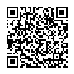 自己今后有机会的话一定要好好研究一下尸兄之力二维码生成