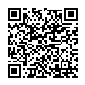 自己今天想要告诫或者说教导两女的乃是活用心术二维码生成