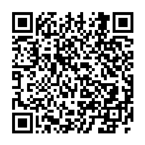 自己今天确实有对宴维献身的打算……但是她心甘情愿对宴维献身的二维码生成