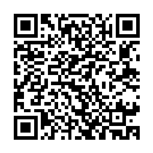 自己从小到大做过很多稀奇古怪的梦不止是涂了口红的霸王龙二维码生成