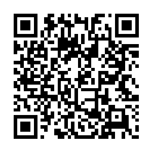 自己从未见过人们口中春日里像仙境一样的凉州二维码生成