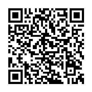 自己从来都没有站在一定的高度上面来甚至自己二维码生成