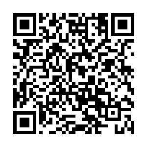 自己付出的那些好东西可以算是交易延寿灵药的代价二维码生成