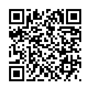 自己仿佛回到了破茧化蝶之前的状态二维码生成