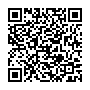 自己会挑一个几大古武世家之中最强大的世家动手二维码生成