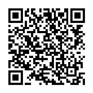 自己倒可以马上就知道那个家伙说的是不是真的二维码生成