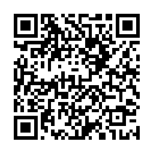 自己倒是可以静下心来好好的看一看太自然的神奇之处二维码生成