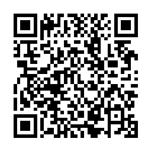 自己倒是忘了如今自己在钟杨颖的眼中已经是今非昔比了二维码生成