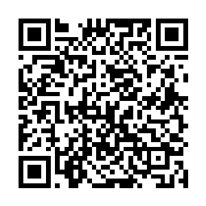 自己倒要看看张家的那个混蛋小辈最后能玩出什么花样二维码生成