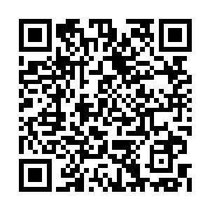 自己则如同一只彩蝶一般翩跹朝北辰睿蹦跳而去二维码生成