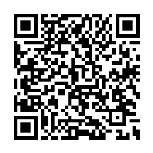 自己刚刚来到秋风林就碰到了这么有意思的事情二维码生成