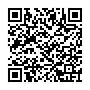 自己刚才被枪哥抱着走到葡萄架后面想要干什么二维码生成