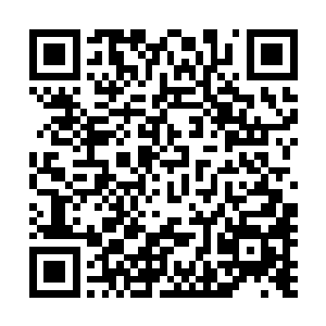 自己到现在都无法了解君无妄的心思……她明明是在感谢他二维码生成