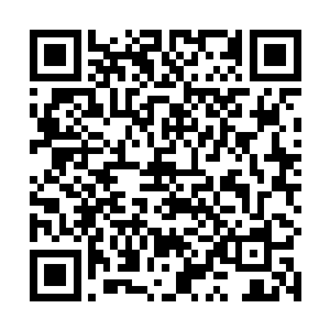 自己前世就是在宝石湾珍珠六港最南端的旋风港出生的二维码生成