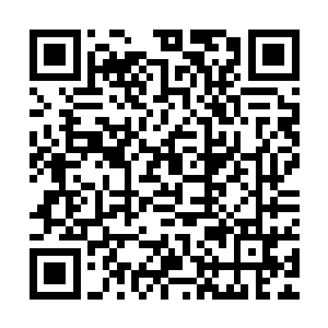 自己前世的时候准圣顶峰高手面对混元圣人都丝毫没有还手之力二维码生成