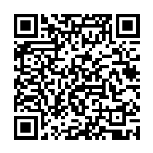 自己加上双头骨龙科罗迪干掉这四人组成的冒险小队二维码生成