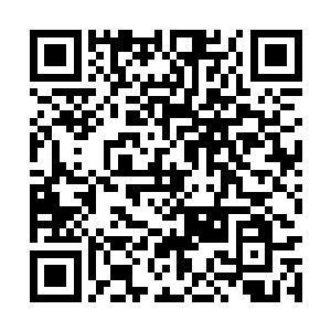 自己又要再一次的为自己的宝贝儿子擦屁股了……二维码生成